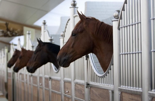 Stable